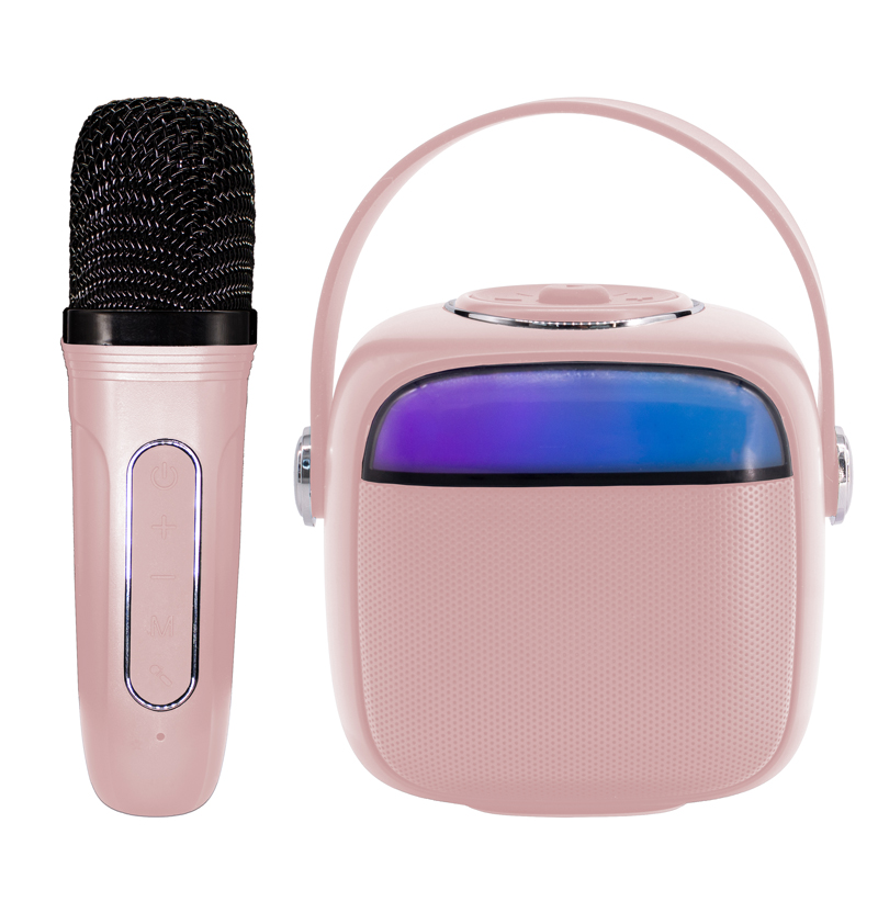 Portable karaoke Bluetooth speaker